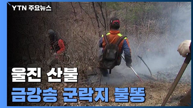 울진 산불 65% 진화... 금강송 군락지 주변 불 거의 꺼져 / YTN