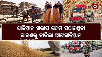 Taliban Govt slams Pakistan for Sending Inedible Wheat and says India's Far Better