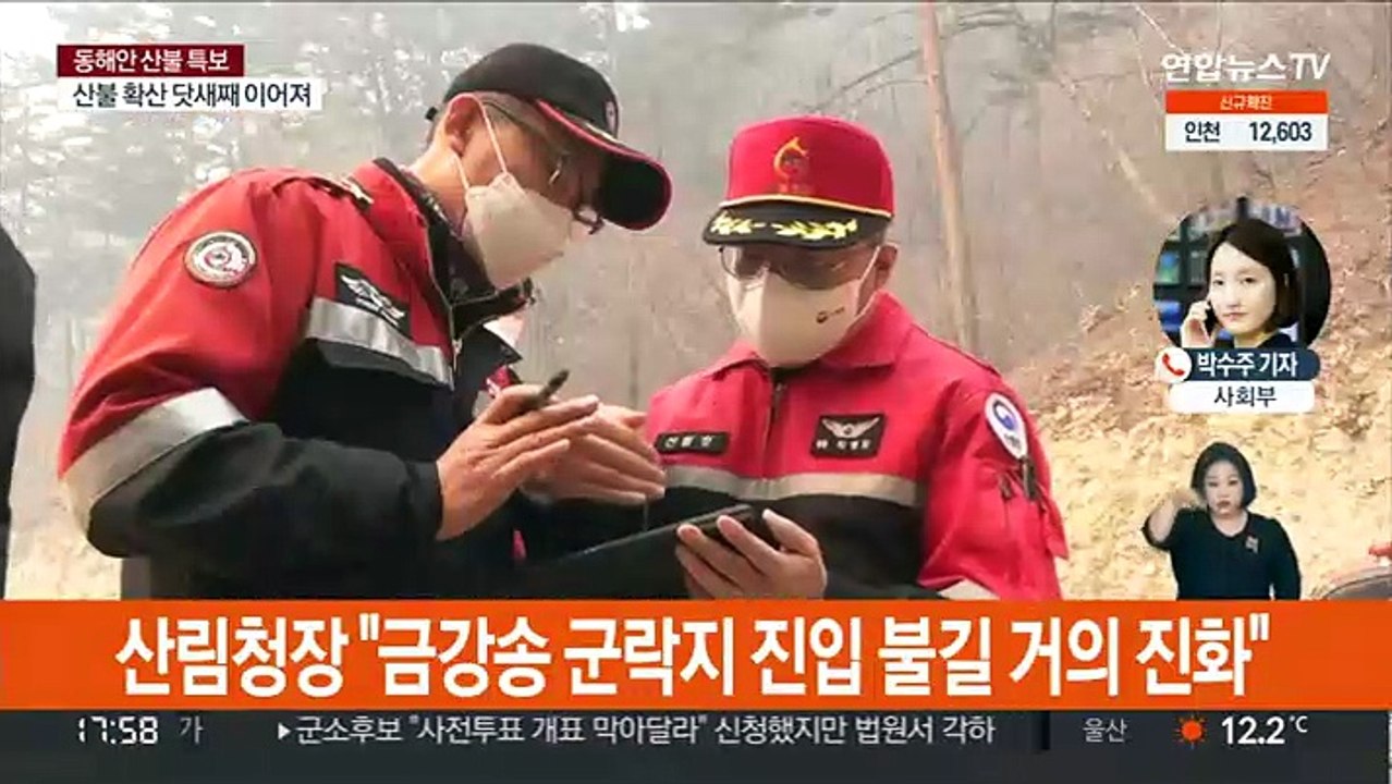"울진 금강송 군락지 진입 불길 거의 진화"
