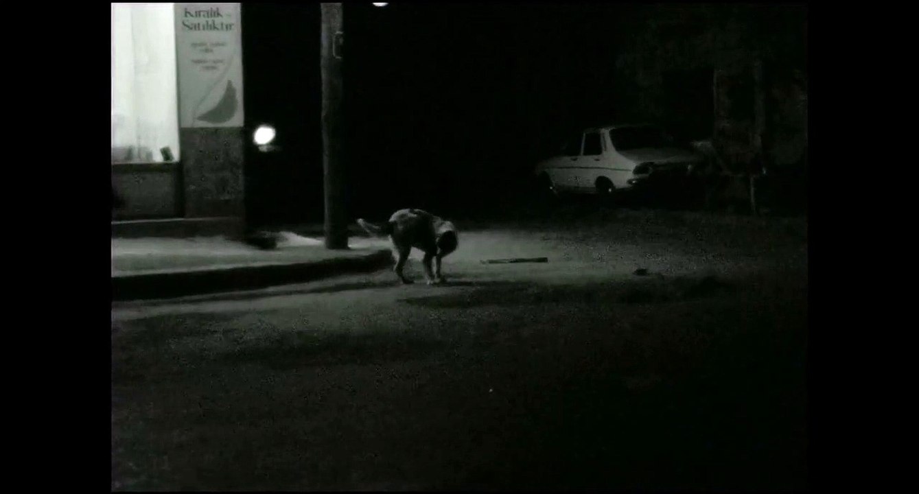 História da Noite Trailer Original