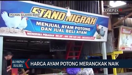 Harga Ayam Potong Merangkak Naik
