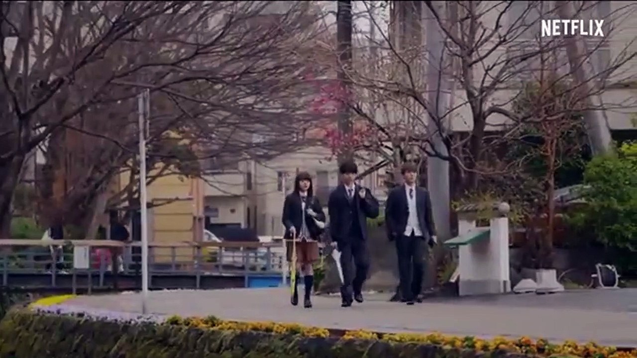 El patito feo que surcó los cielos Tráiler VO