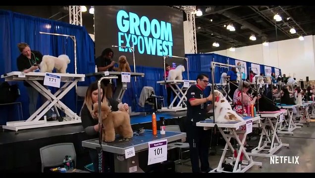 Amigos caninos Tráiler (2) VO