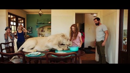 Mia y el león blanco Tráiler (2) VO