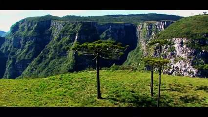 Francisco de Assis - Uma Lição de Vida Trailer