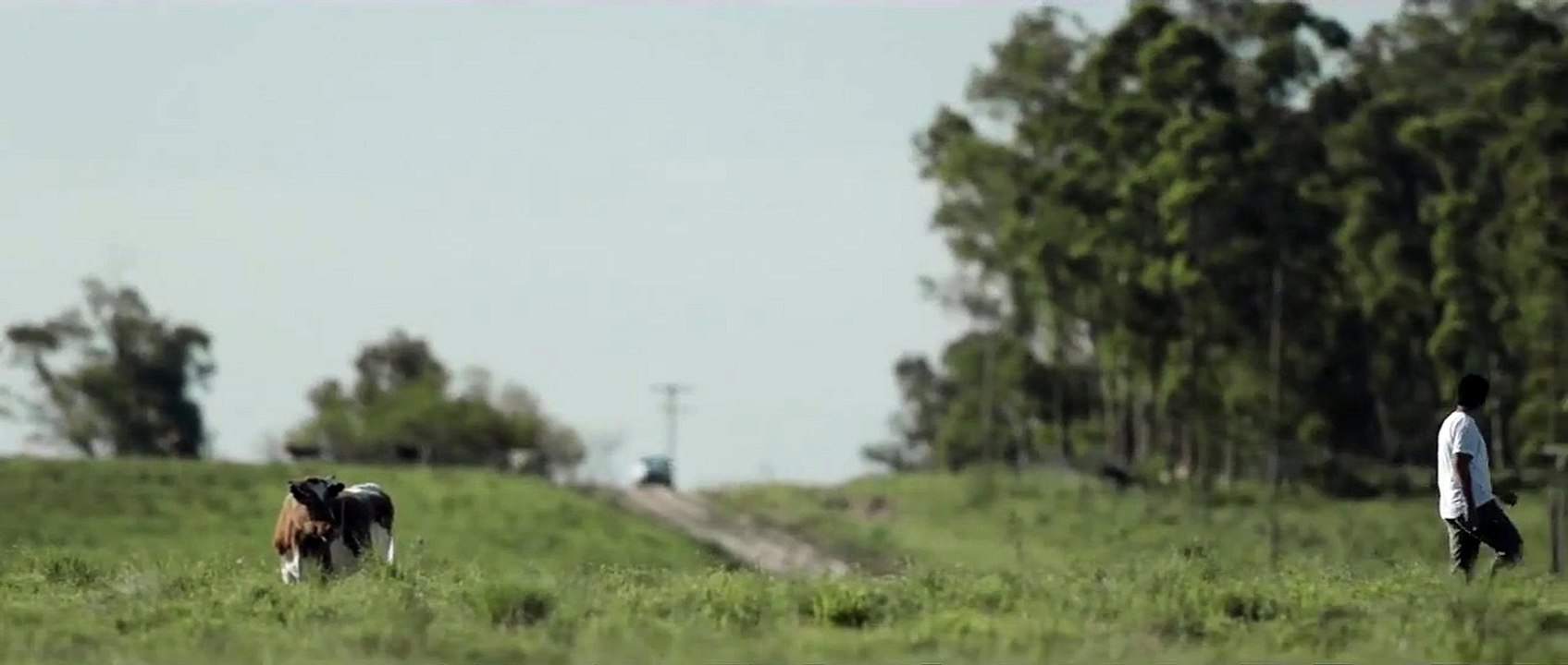 Rifle Trailer Internacional