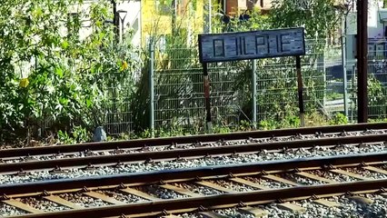 Roberto Bolaño: A Batalha Futura Chile Trailer Original
