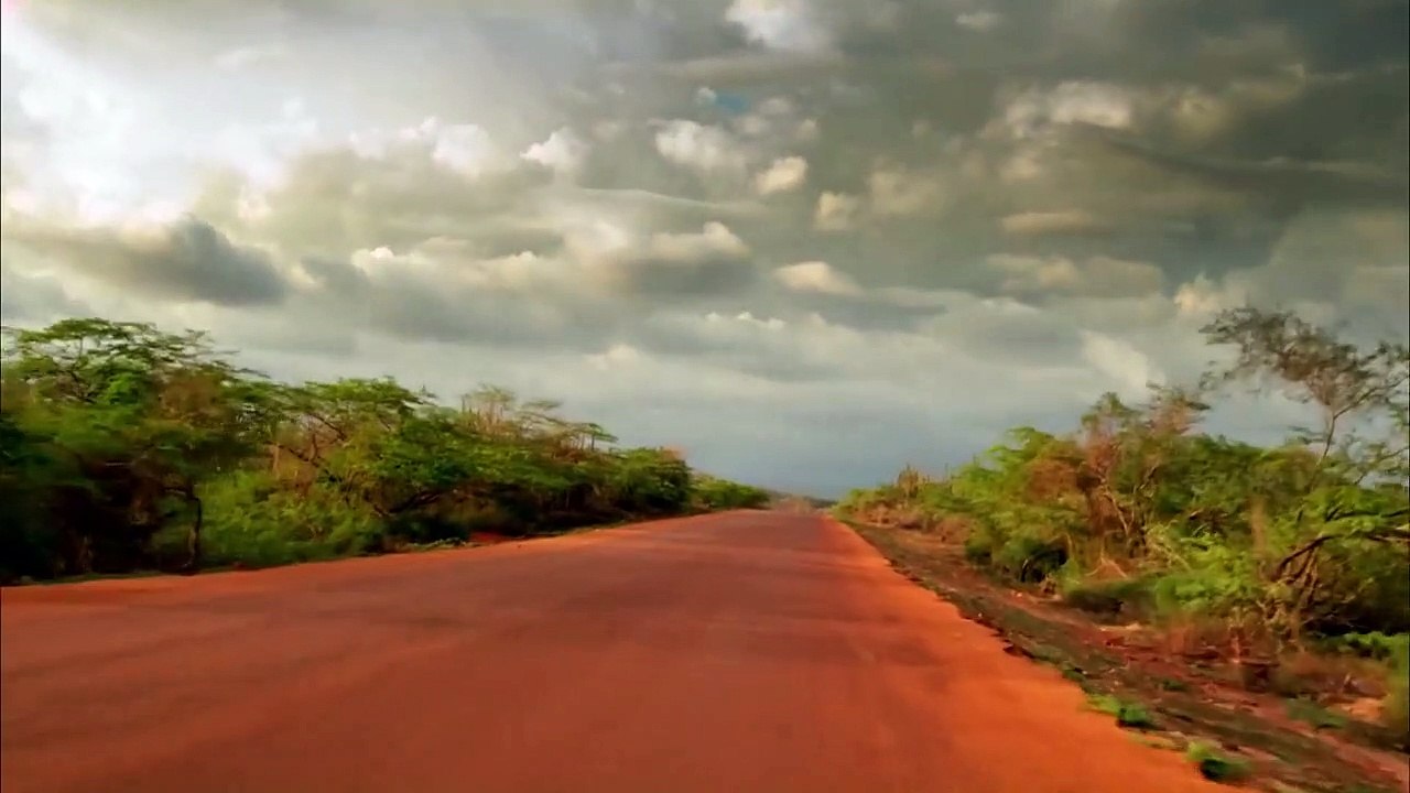 Cocote Trailer Original
