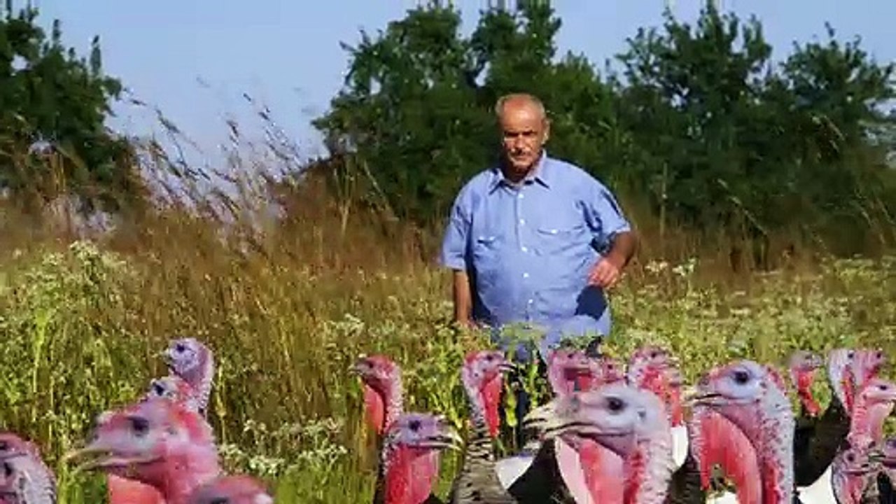 Eating Animals Trailer Original