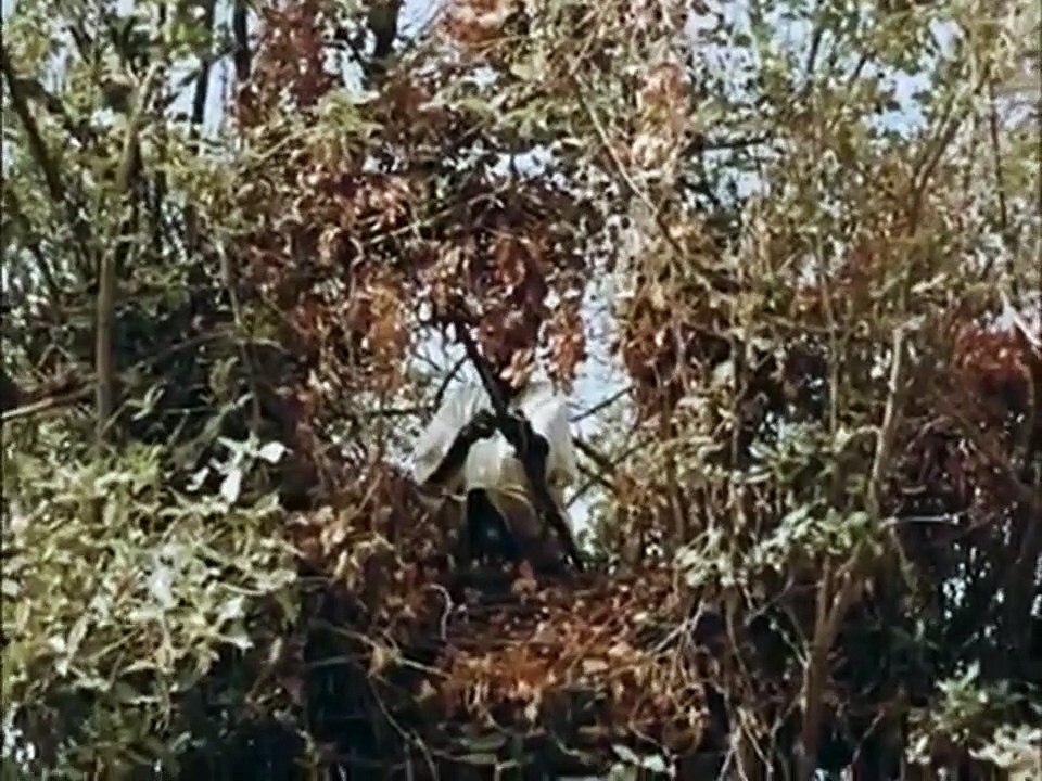 A Caça ao Leão com Arco Trailer Original