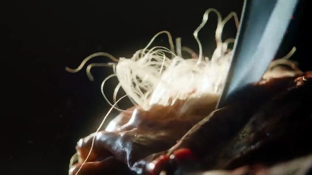 The Walking Dead - temporada 9 Teaser (3) VO