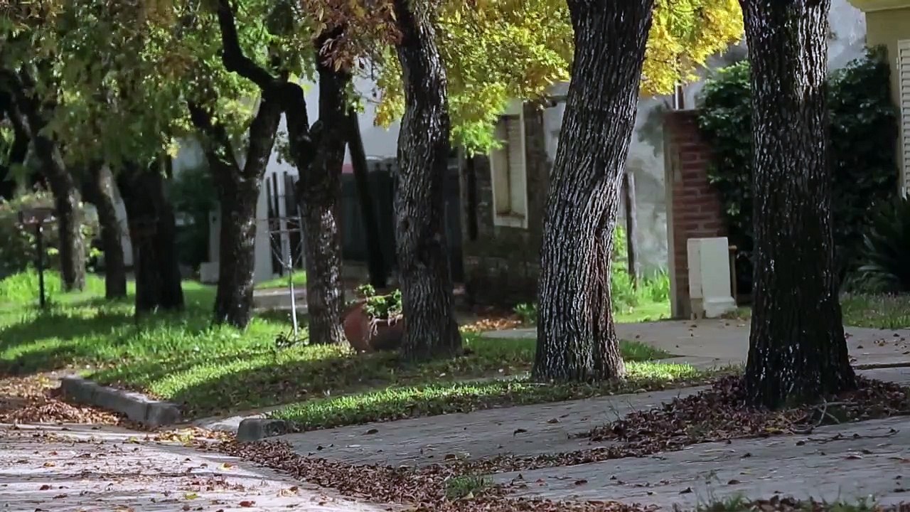 Un Cine en Concreto Trailer Original