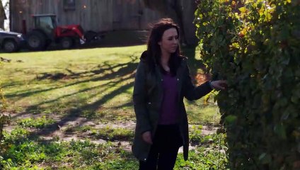 Meu Admirador Secreto Teaser Original