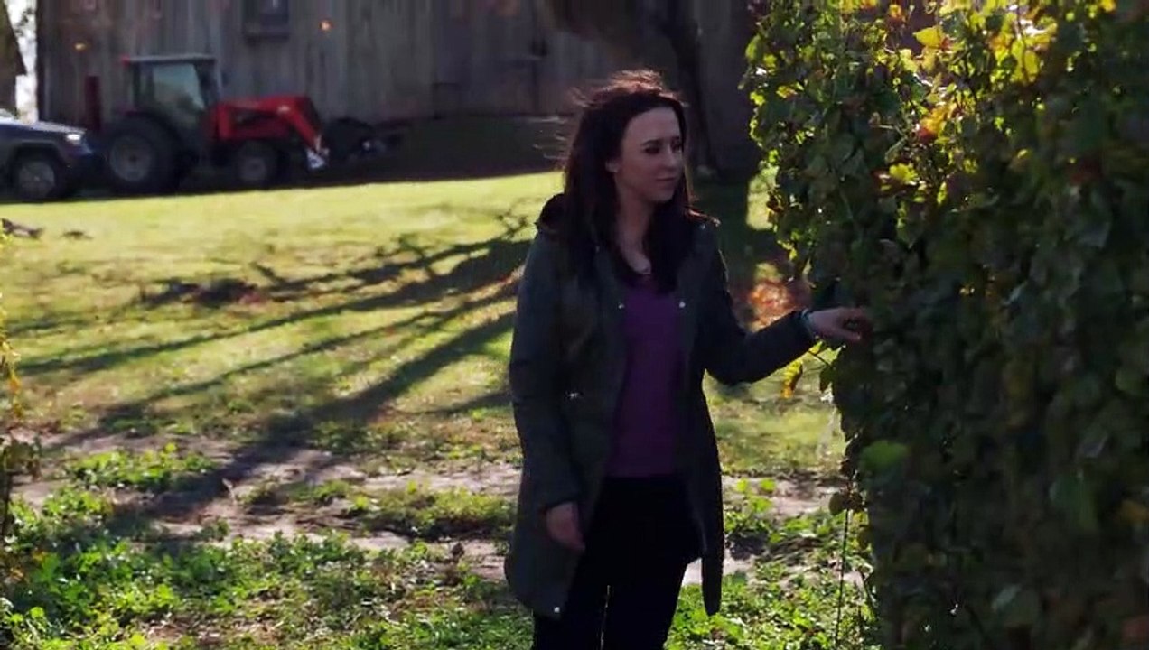 Meu Admirador Secreto Teaser Original