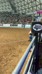 Em rodeio, pai se joga sobre o filho desmaiado para protegê-lo de touro