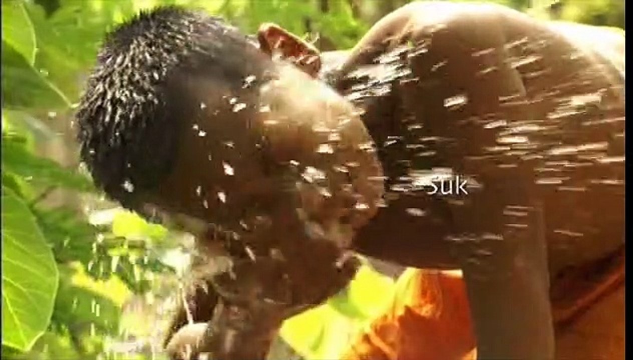 Buddha's Lost Children Trailer DF