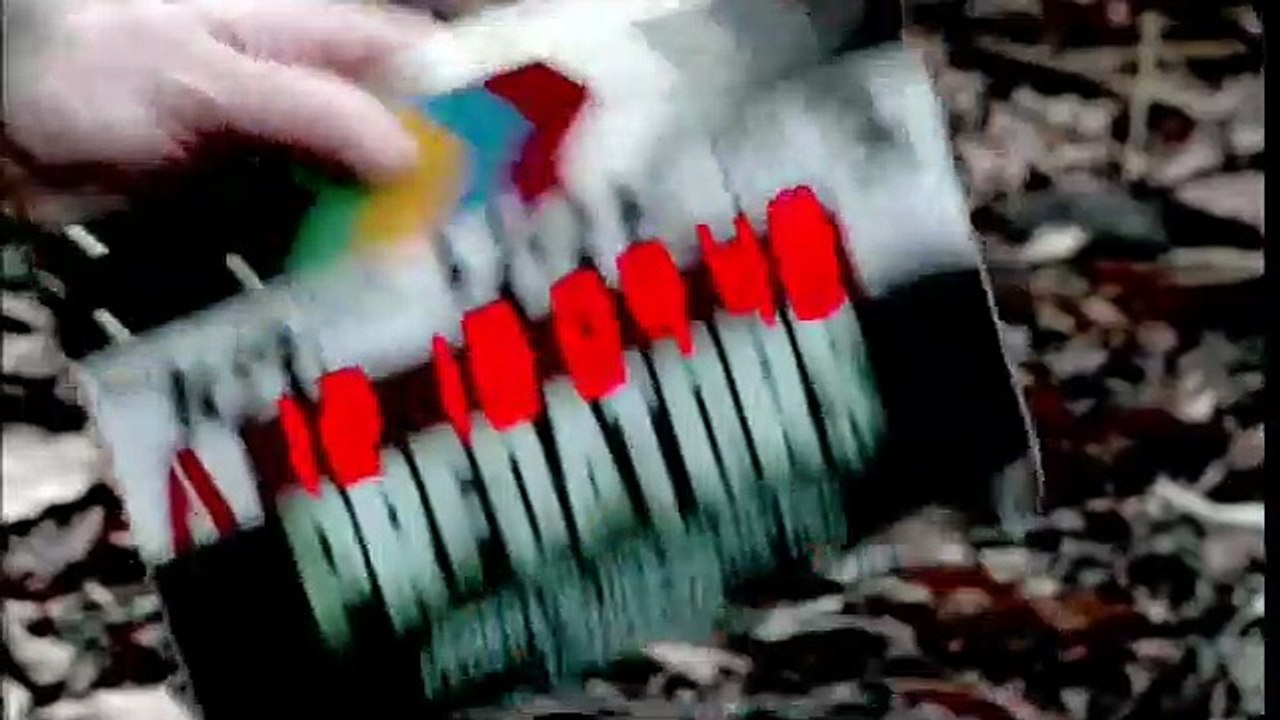 Predators Videoclip DF