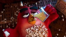 Angry Birds 2: La película Clip