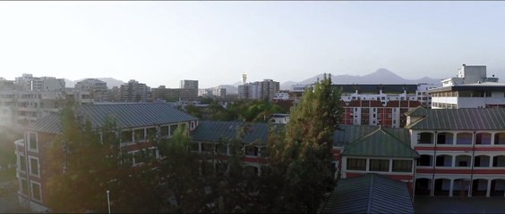 A Ilha dos Pinguins Trailer Original