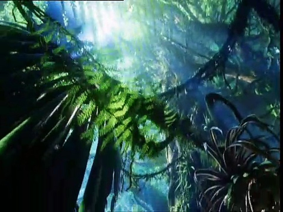 Avatar - Aufbruch nach Pandora Videoclip (2) DF