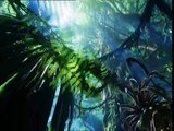Avatar - Aufbruch nach Pandora Videoclip (2) DF