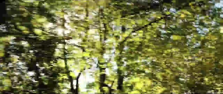 Los años mas bellos de una vida Tráiler (2) VO