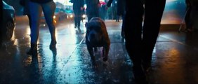 John Wick: Capítulo 3 - Parabellum Tráiler (2)