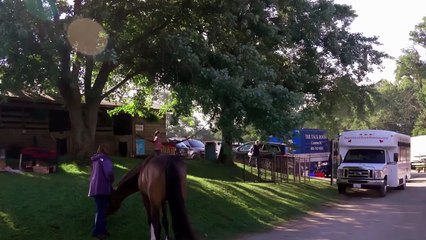 Life in the Doghouse Tráiler VO