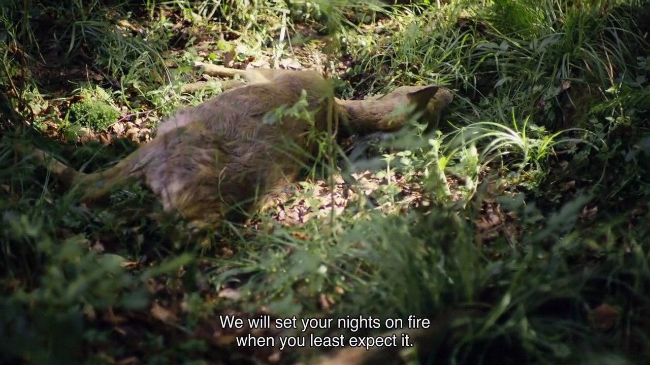 Periferia Trailer Legendado