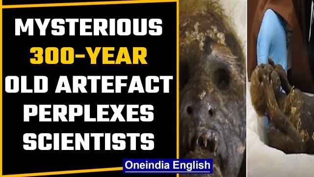 300-year old mummified mermaid found | Japanese scientists conduct study | OneIndia news