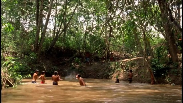 El canto de la selva Tráiler VO