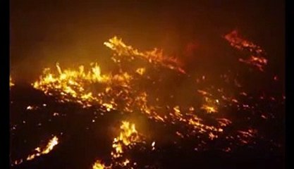 El Mar La Mar Trailer Original