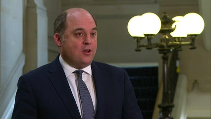 Ben Wallace: 'We've got to speed up' visa scheme checks