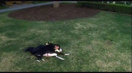 Wie das Leben so spielt Videoclip (2) DF