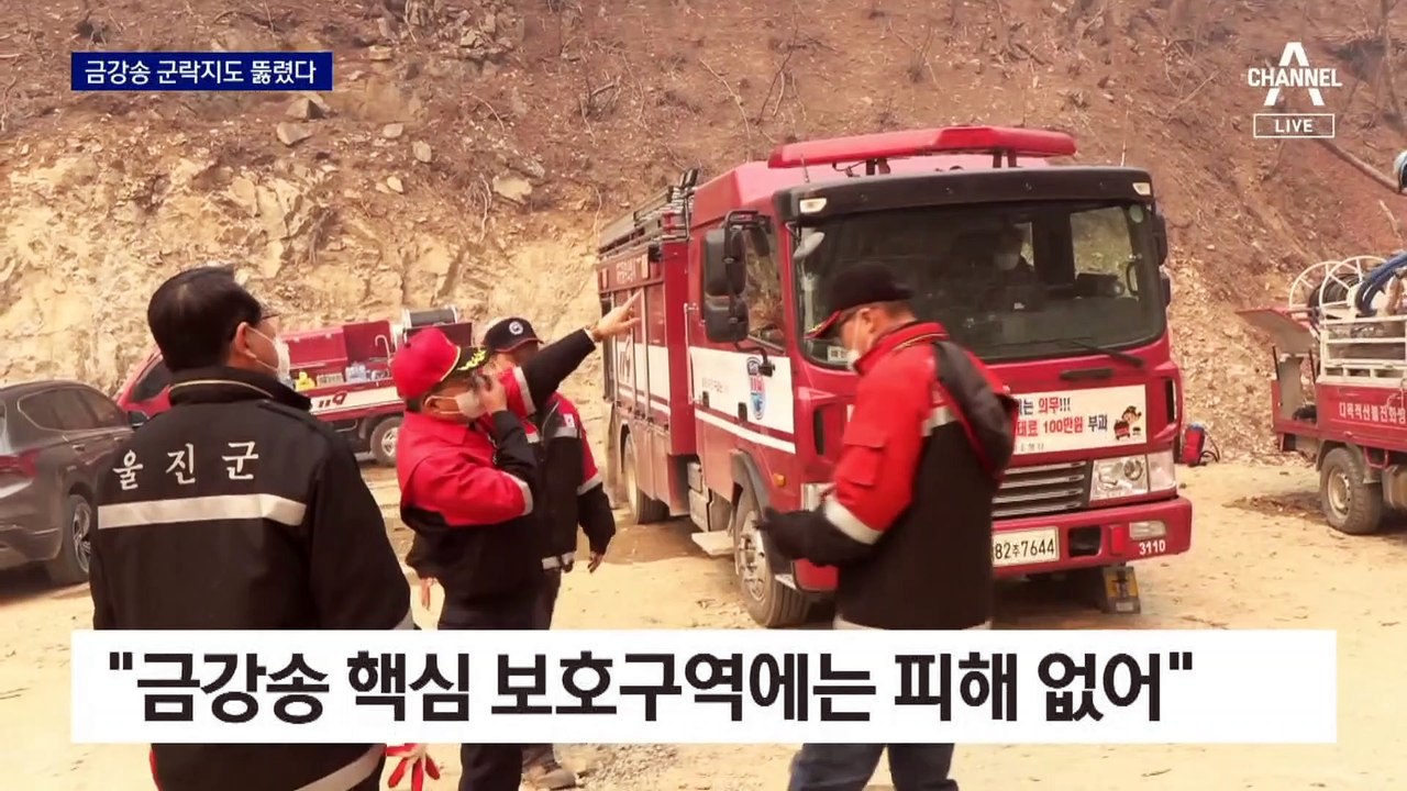 닷새째 산불 진화 난항…금강송 군락지도 뚫렸다