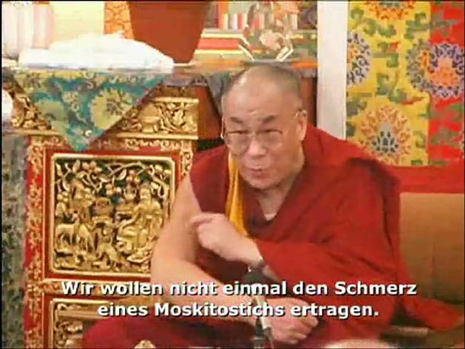 Dalai Lama Renaissance Videoclip (2) DF