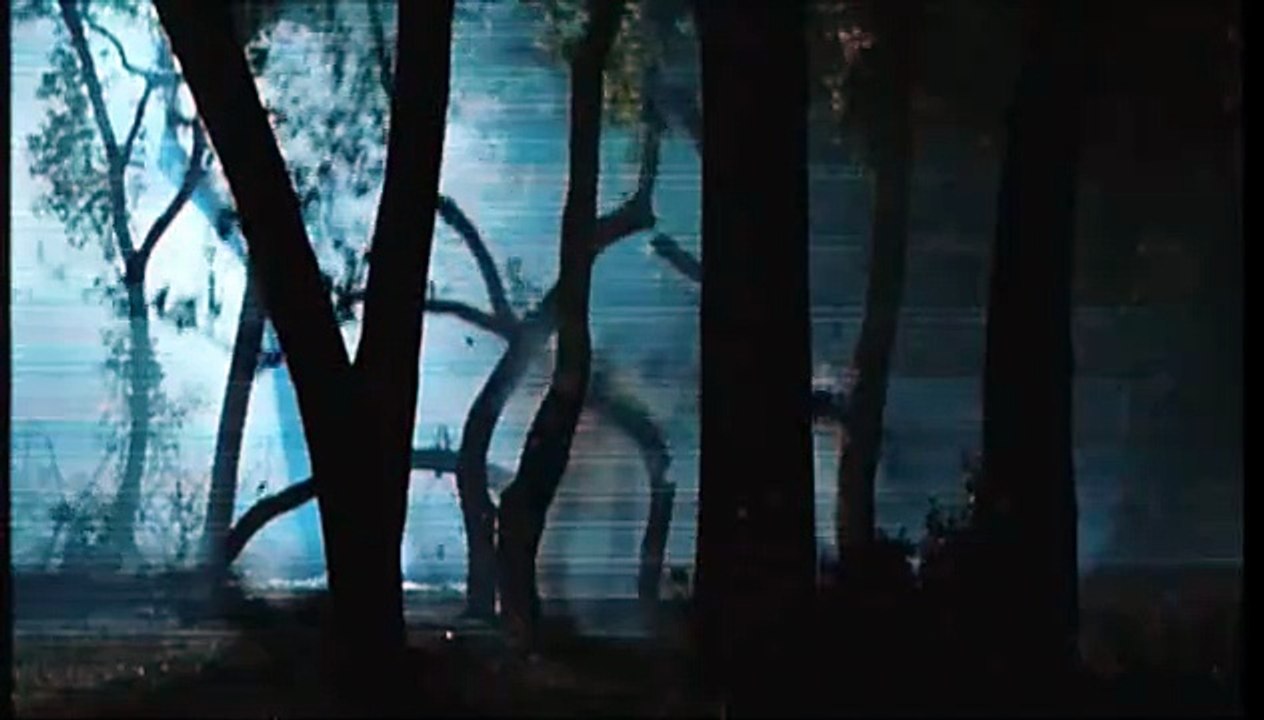 Terminator: Die Erlösung Teaser DF