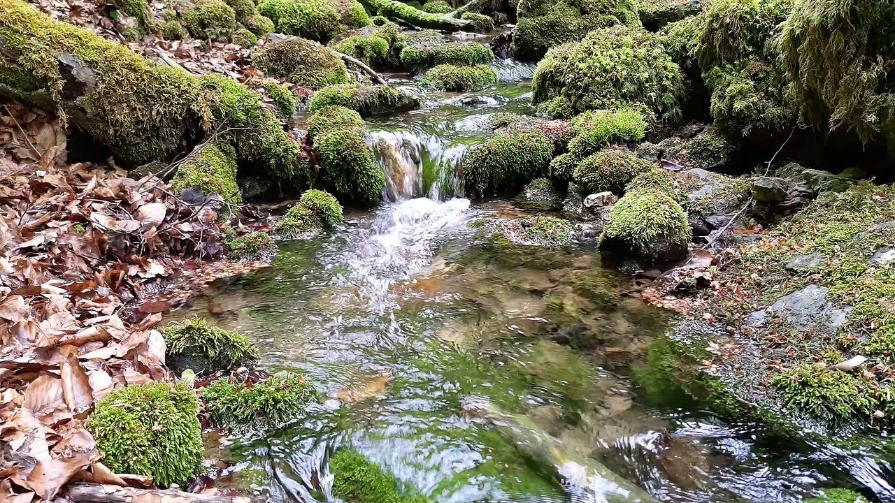 RIVER FLOWING AT ITS BEST