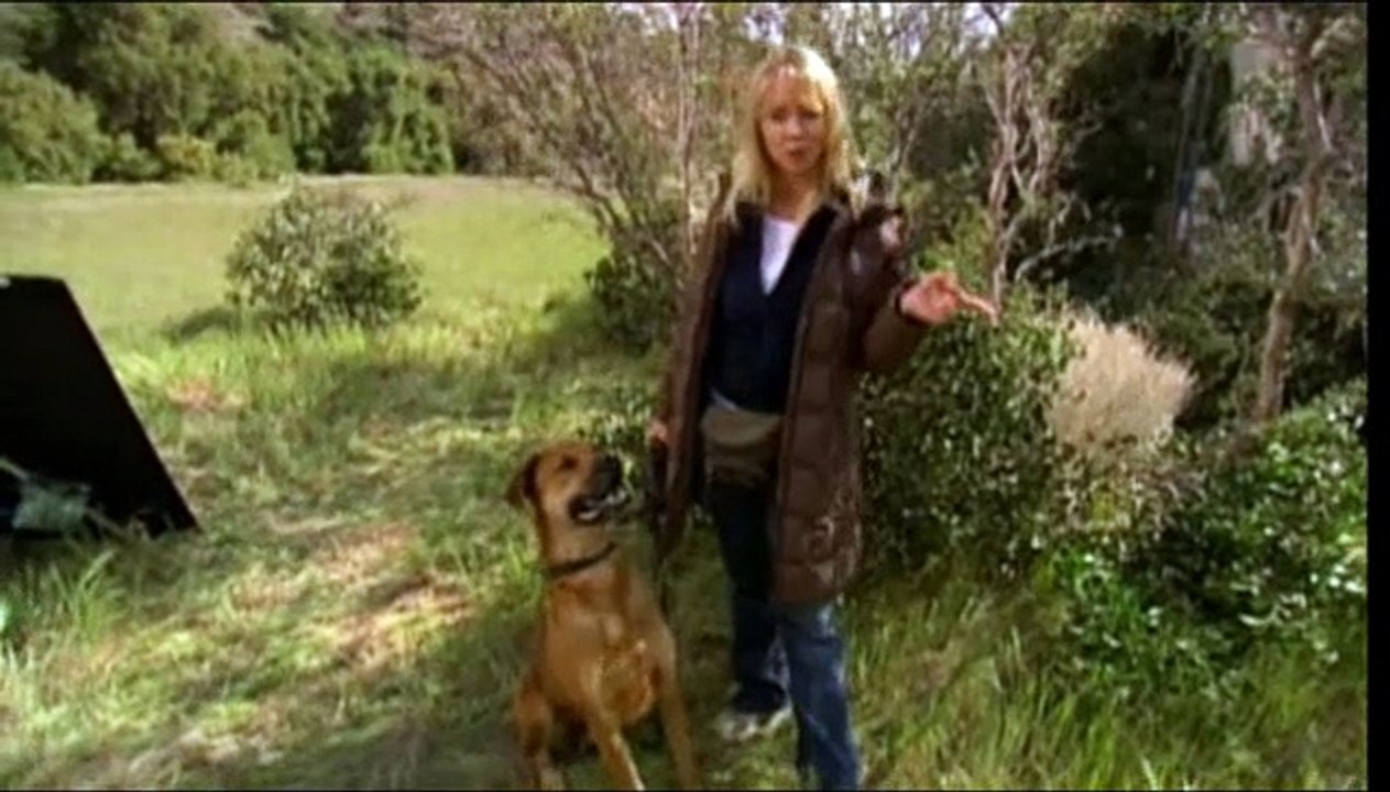 Die Jagd zum magischen Berg Videoclip (3) DF