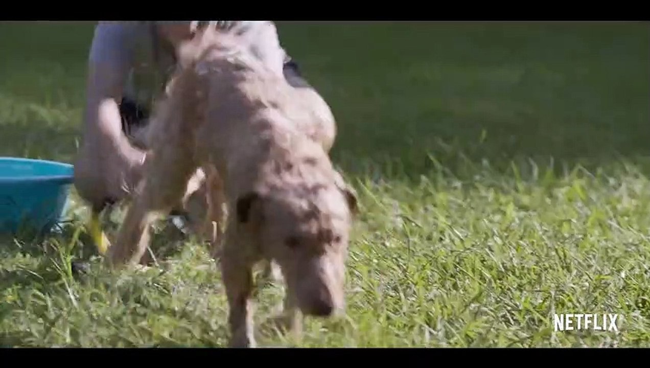 Diecisiete Tráiler