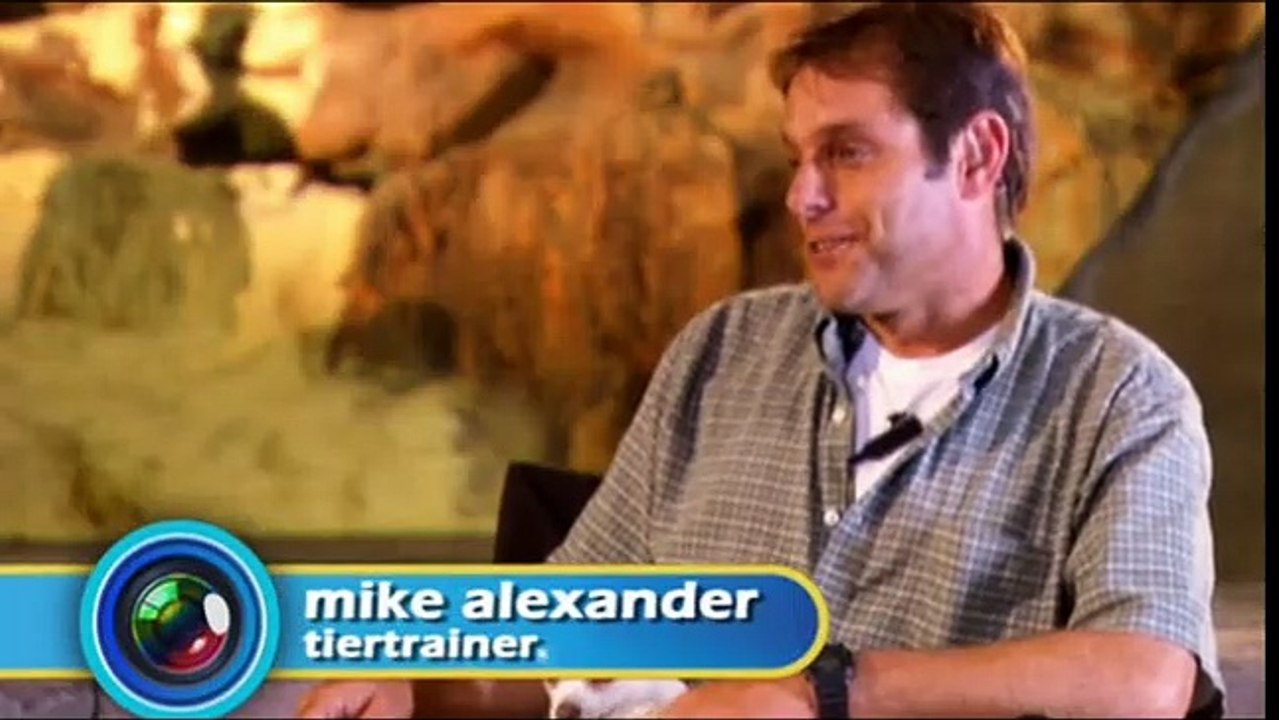 Beverly Hills Chihuahua Videoclip (2) DF