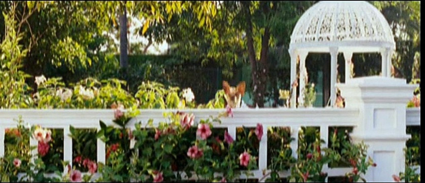 Beverly Hills Chihuahua Videoclip (4) DF