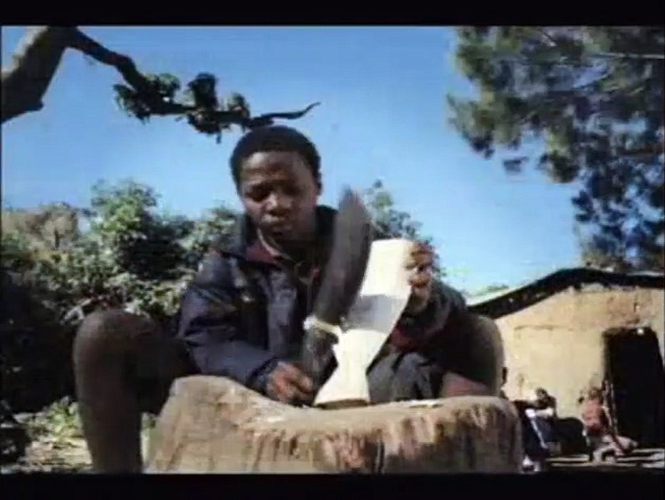 Wild Ocean 3D Trailer (5) DF