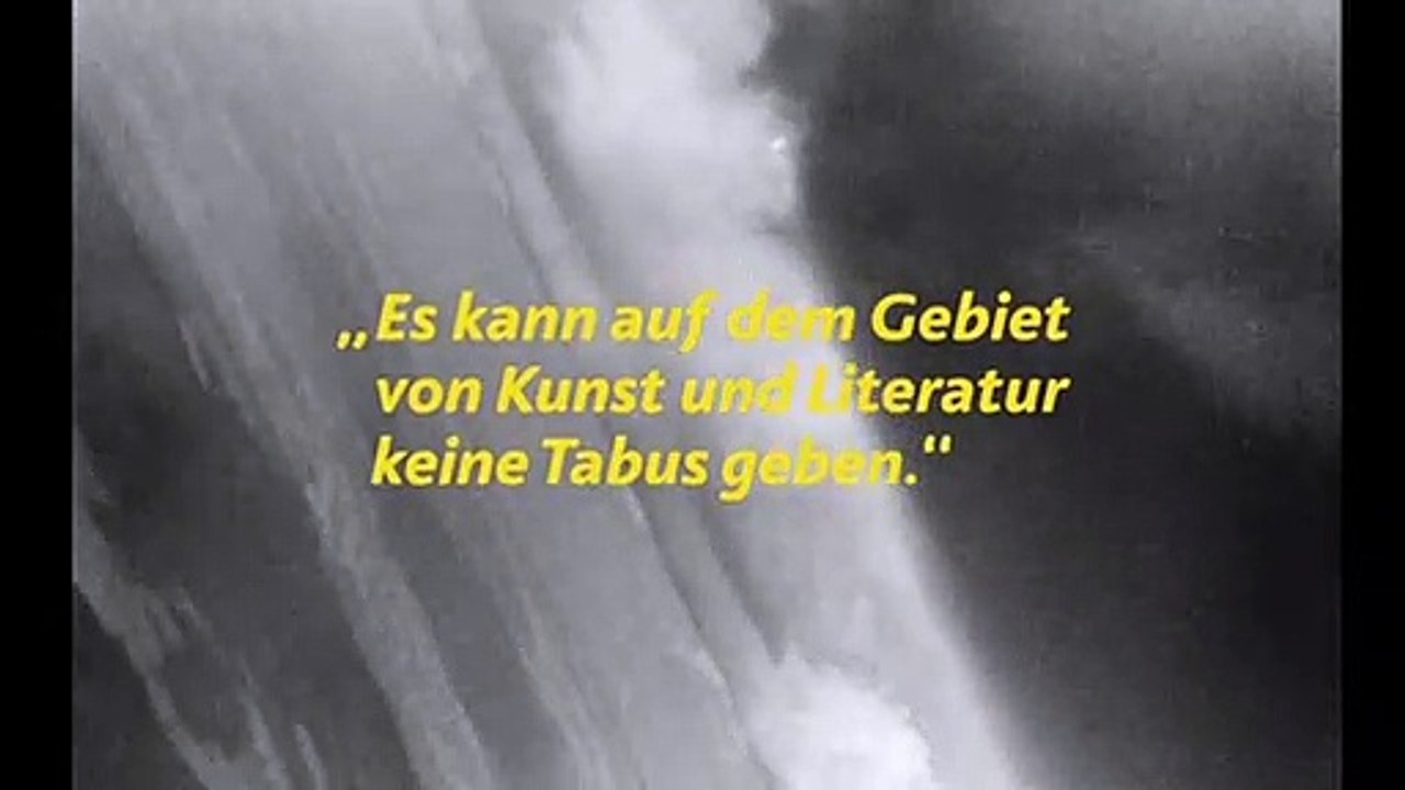 Die Taube auf dem Dach Trailer DF