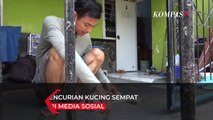 Aksi Pencuri Kucing Terekam CCTV, Simpan Kucing di Bagasi Jok Motor