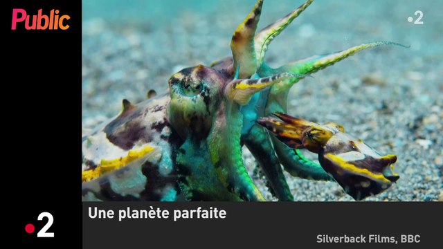 Zapping : Je prenais de la cocaïne au réveil , les confessions choc de Loana