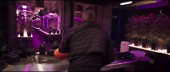 The Gentlemen: Los señores de la mafia Tráiler (2)