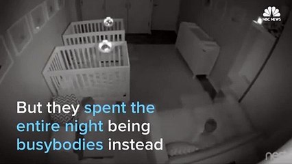 Public Buzz : Des jumeaux se transforment en déménageurs quand leurs parents dorment