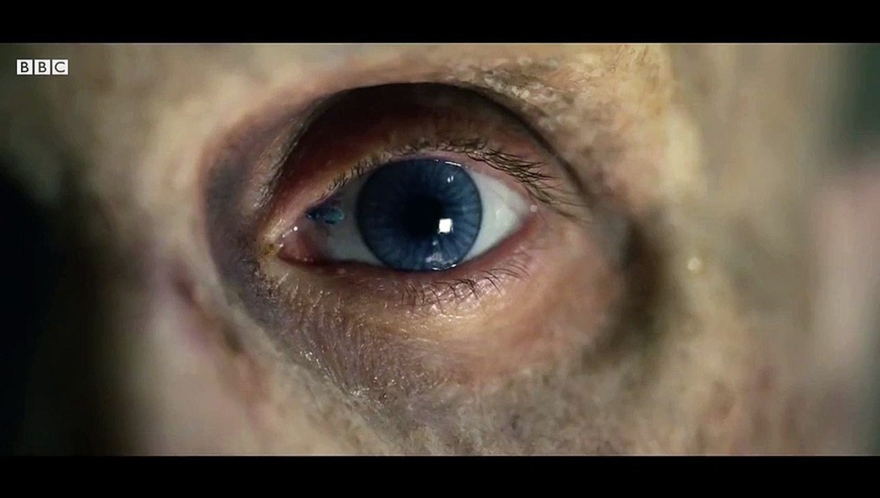 Drácula Teaser VO