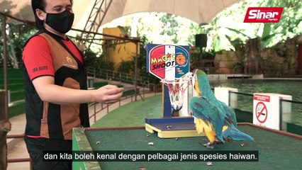 Tak semua orang boleh jadi penjaga zoo
